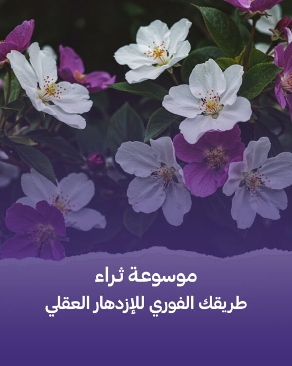 موسوعة الثراء الرقمية